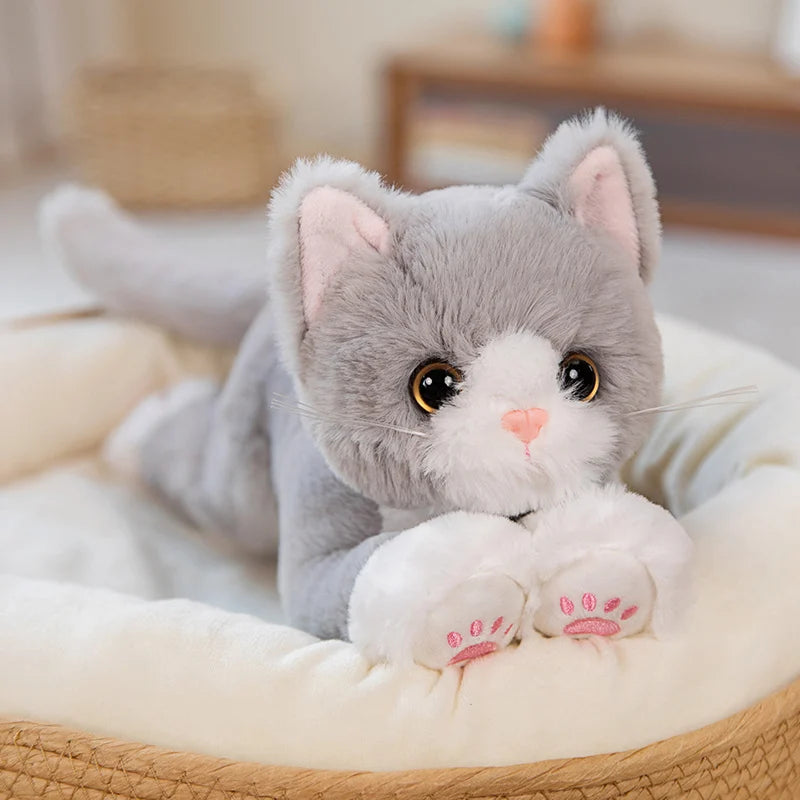 Cat Stuffy